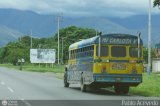 Transporte Colectivo Palo Negro 050