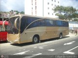 Particular AC-001 Carroceras Urea Platinum Chevrolet LV150