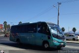 Buses V�a Elqui (Chile) 01