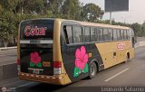 Cetur S.R.L. 955 Comil Campione 3.45 Mercedes-Benz O-500R