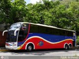 Particular o Transporte de Personal 262