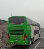 Expreso Internacional Palomino 7048, por Leonardo Saturno