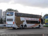 Aguila Dorada Bis 083