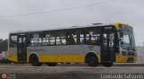 Per Bus Internacional - Corredor Amarillo 2016 Modasa Titn Corredor Agrale MA 17.0