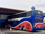 Expresos Occidente 369