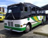 A.C. Transporte San Alejo 29