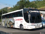 Omega 8245, por Joseba Mendoza