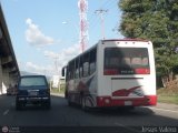 Particular 811