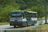 A.C. de Transporte Encarnacin 311