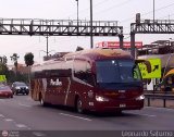 Empresa de Transporte Per Bus S.A. 434, por Leonardo Saturno