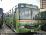 Metrobus Caracas 815