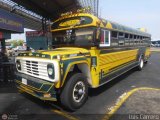 ZU - Colectivos Concepcin 008, por Luis Carrero