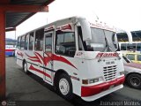 A.C. de Transporte Larense 15