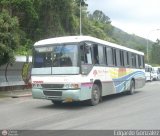 Colectivos Valle de Pacairigua