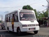 Lnea Santa Brbara 67 Carroceras Mariara Didibus NPR EJ Iveco Serie TurboDaily