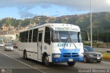 Transporte Virgen del Carmen 27