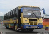 Expresos Pegamar 0015