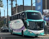 Tours Angel Divino S.A.C. (Per) 237