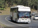 Unin Conductores Ayacucho 1064