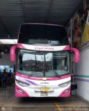 Tours Angel Divino S.A.C. 956 Apple Bus Carroceras Perseo Mercedes-Benz O-500RSD