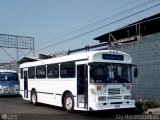 Autobuses de Tinaquillo 14