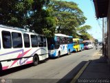 Garajes Paradas y Terminales Guasdualito, por Yenderson Cepeda