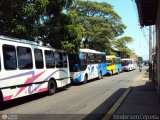 Garajes Paradas y Terminales Guasdalito