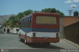 Colectivos Transporte Maracay C.A. 43