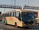 Cetur S.R.L. 963 Comil Campione Invictus 1050 Volvo B380R