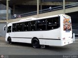 S.C. L�nea Transporte Expresos Del Chama 107 por �ngel Sal�n