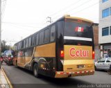 Cetur S.R.L. 958