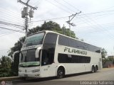 Expresos Flamingo 0116