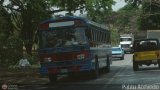 Colectivos Transporte Maracay C.A. 90