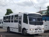 Uso Oficial  999, por Sebastin Mercado