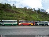 Garajes Paradas y Terminales Naguanagua