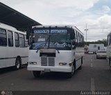 Uni�n Valencia A.C. 65 por Aaron Rodr�guez