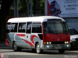 TE3000 Turismo Ejecutivo 3518