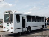 Colectivos La Rosita 011, por Sebastin Mercado