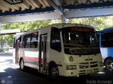 Colectivo Los Andes (Mrida - El Vigia) 88