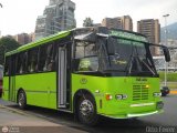Coop. Transporte Menca de Leoni 039