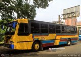 Expresos Pegamar 0015