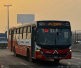 Lnea Peruana de Transportes S.A. (Per) 115, por Leonardo Saturno