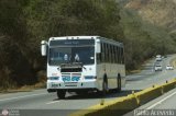 Transporte Unido 076 Encava E-NT3200 Integral Cummins ISC 8.3 280Hp