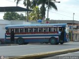 Colectivos Transporte Maracay C.A. 12 Blue Bird All American FE Blue Bird Gasolina 02