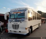 A.C. Transporte Paez 036