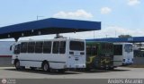 Garajes Paradas y Terminales Maracay