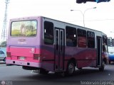 Asociacin Civil Lnea Unin Cordero 006, por Yenderson Cepeda