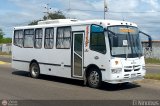 Cooperativa de Transporte Falc�n 48