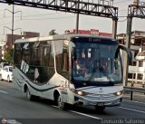 Particular 963, por Leonardo Saturno