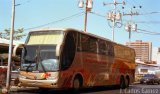 Expresos Flamingo 82